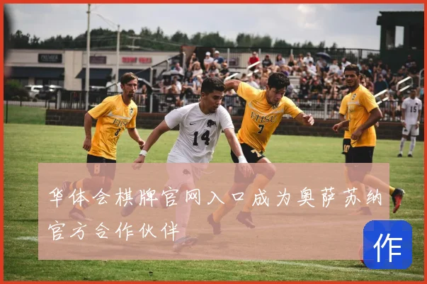 华体会棋牌官网入口成为奥萨苏纳官方合作伙伴